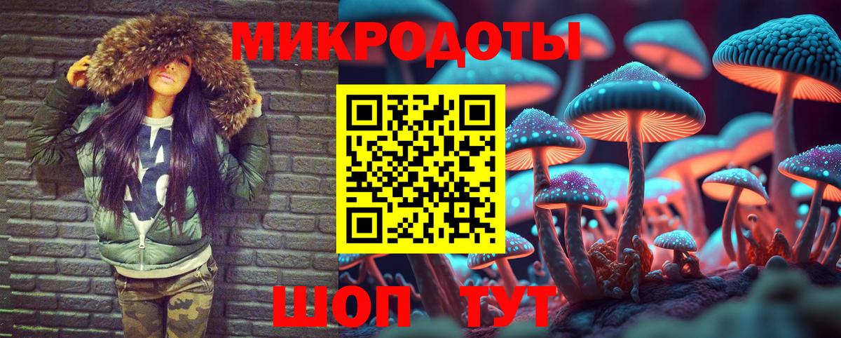 Псилоцибиновые грибы Psilocybine cubensis  Псилоцибиновые грибы MAGIC MUSHROOMS  Вход с VPN  Гудермес 