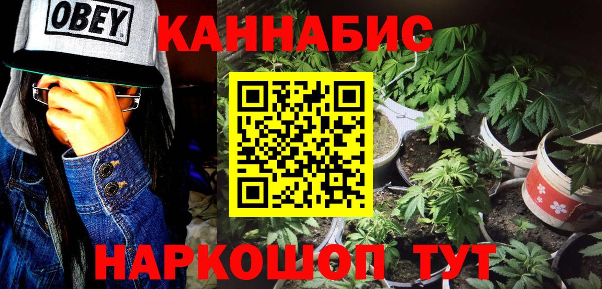 Шишки марихуана SATIVA & INDICA Гудермес